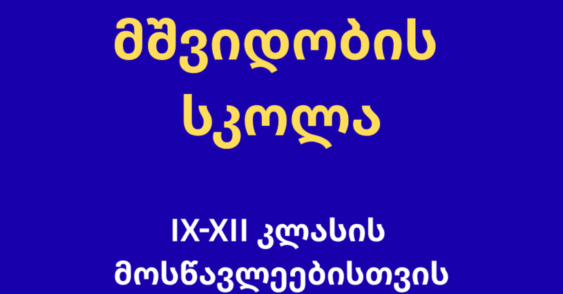 PSCH ბანერი 03